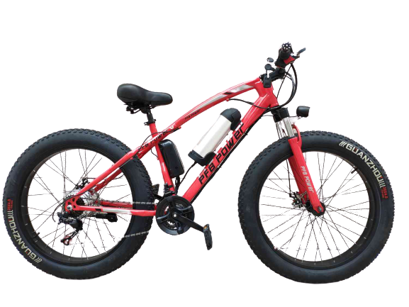 E-Bike